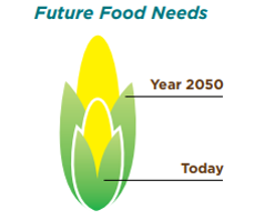 Future Food Needs