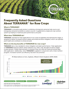 Terramar FAQ Booklet Image