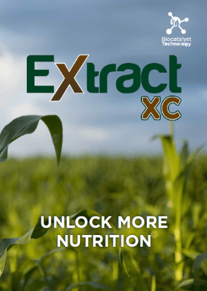 Extract XC Booklet 