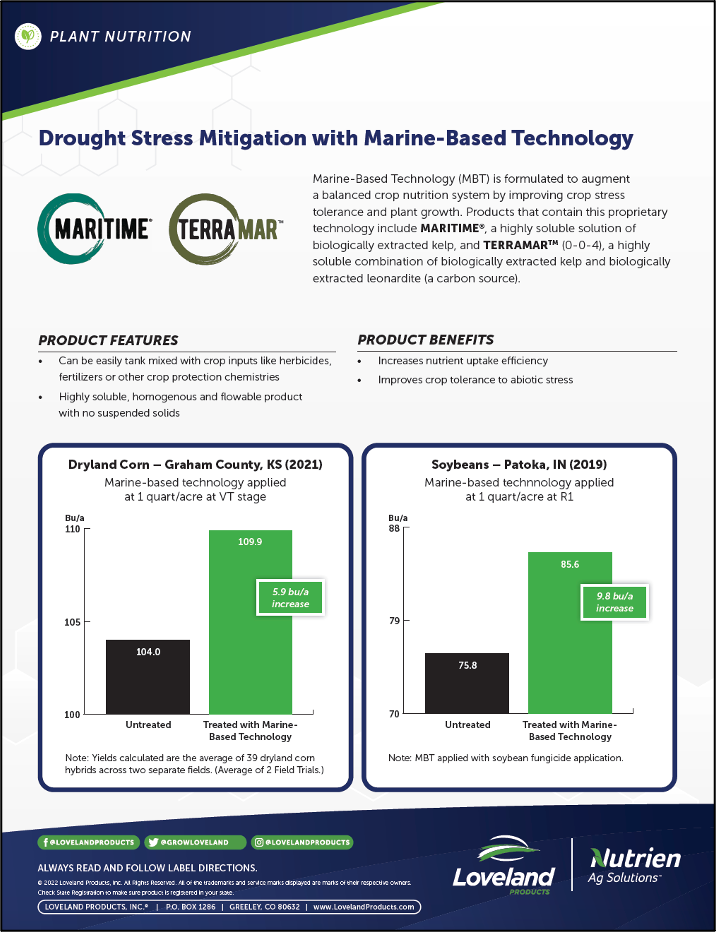 Maritime & Terramar Corn and Soybean Study