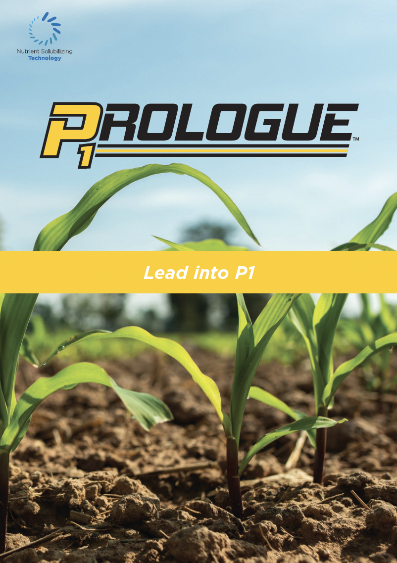 Prologue Educator Image-1