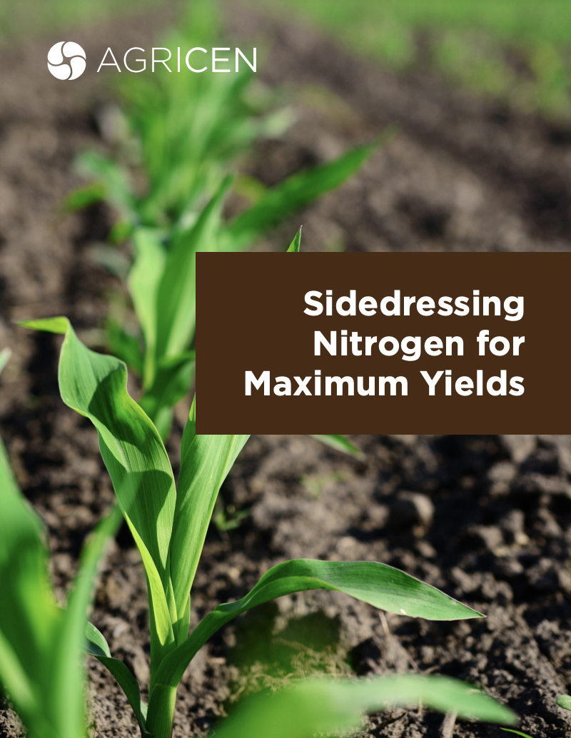 sidedressing nitrogen