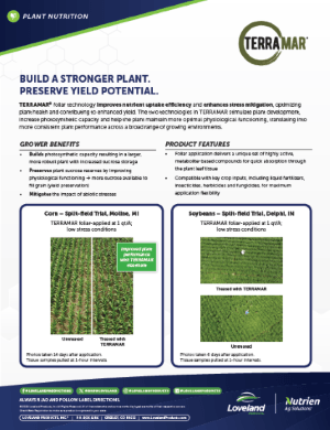 Terramar Corn Soybean Split Field low stress study