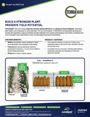 Terramar Corn Study Drought