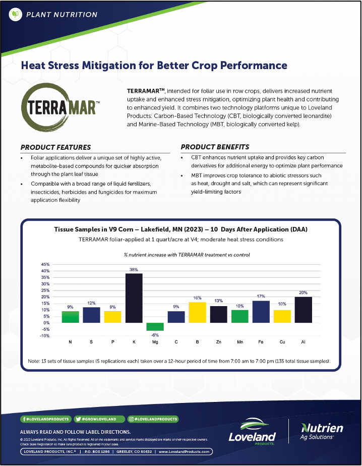 Terramar Corn Study-1