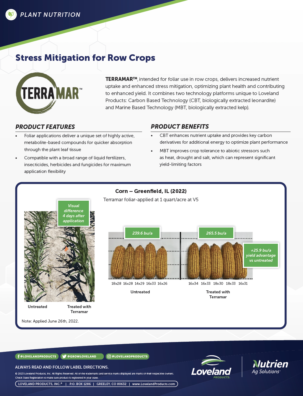 Terramar Corn Study