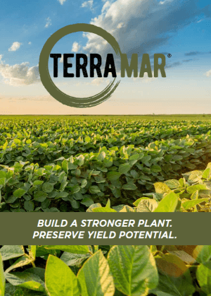 Terramar Educator